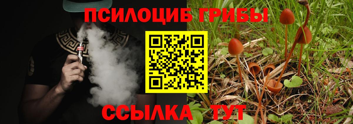 Псилоцибиновые грибы Psilocybe  где купить наркотик  Кириши  Вход с VPN 